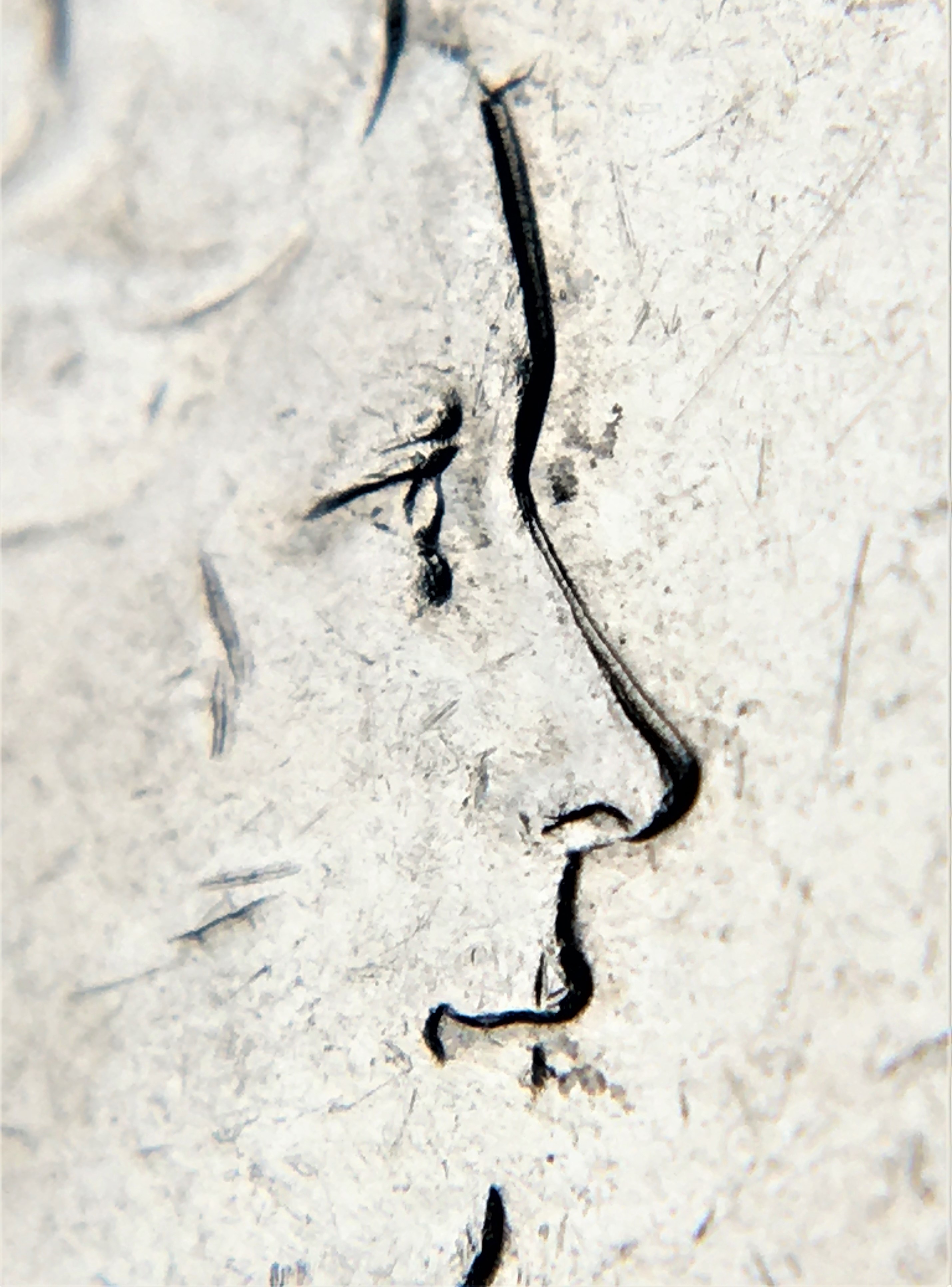 5 cents 1967 double face.jpg