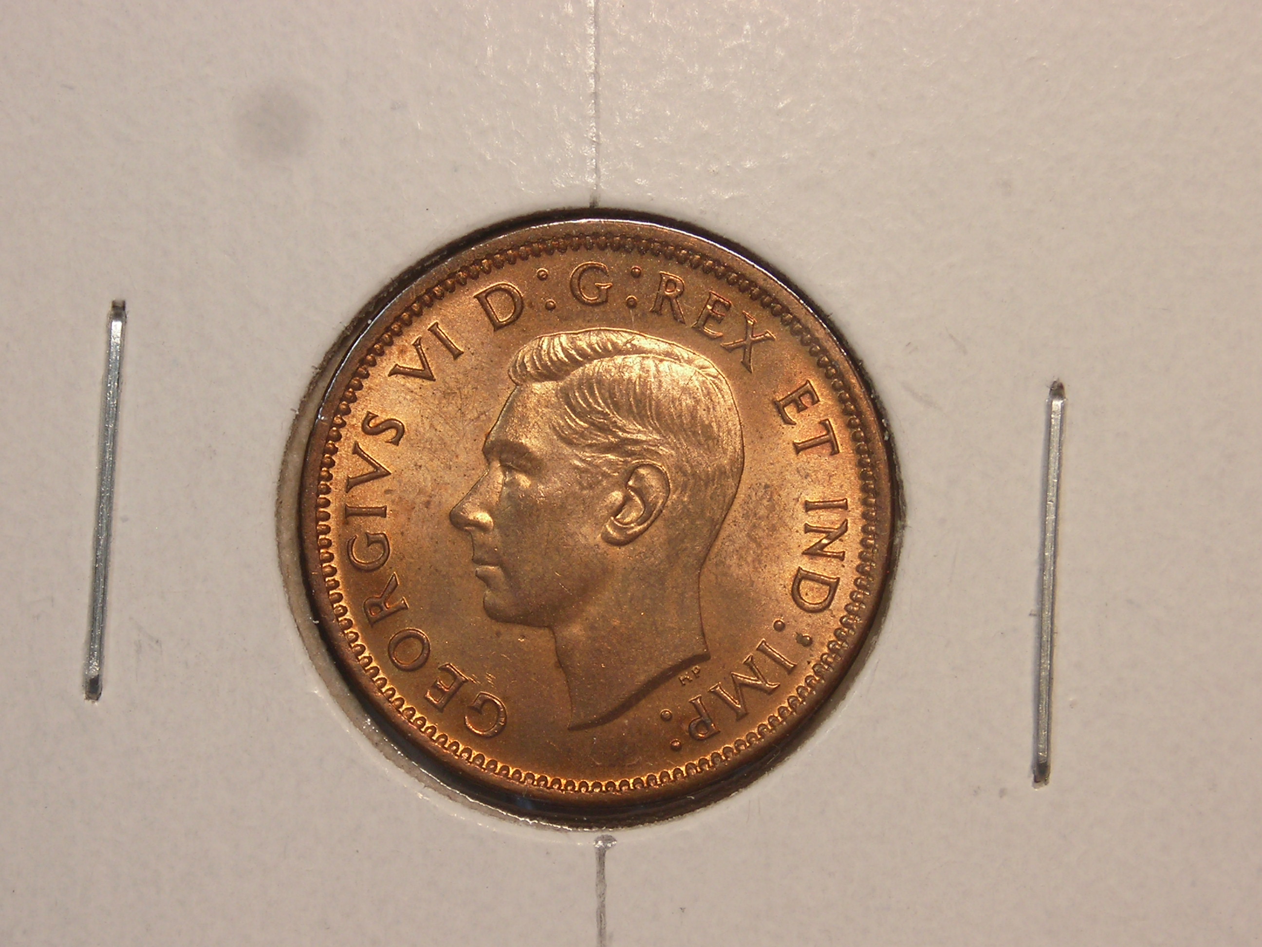 DSCN1253.JPG