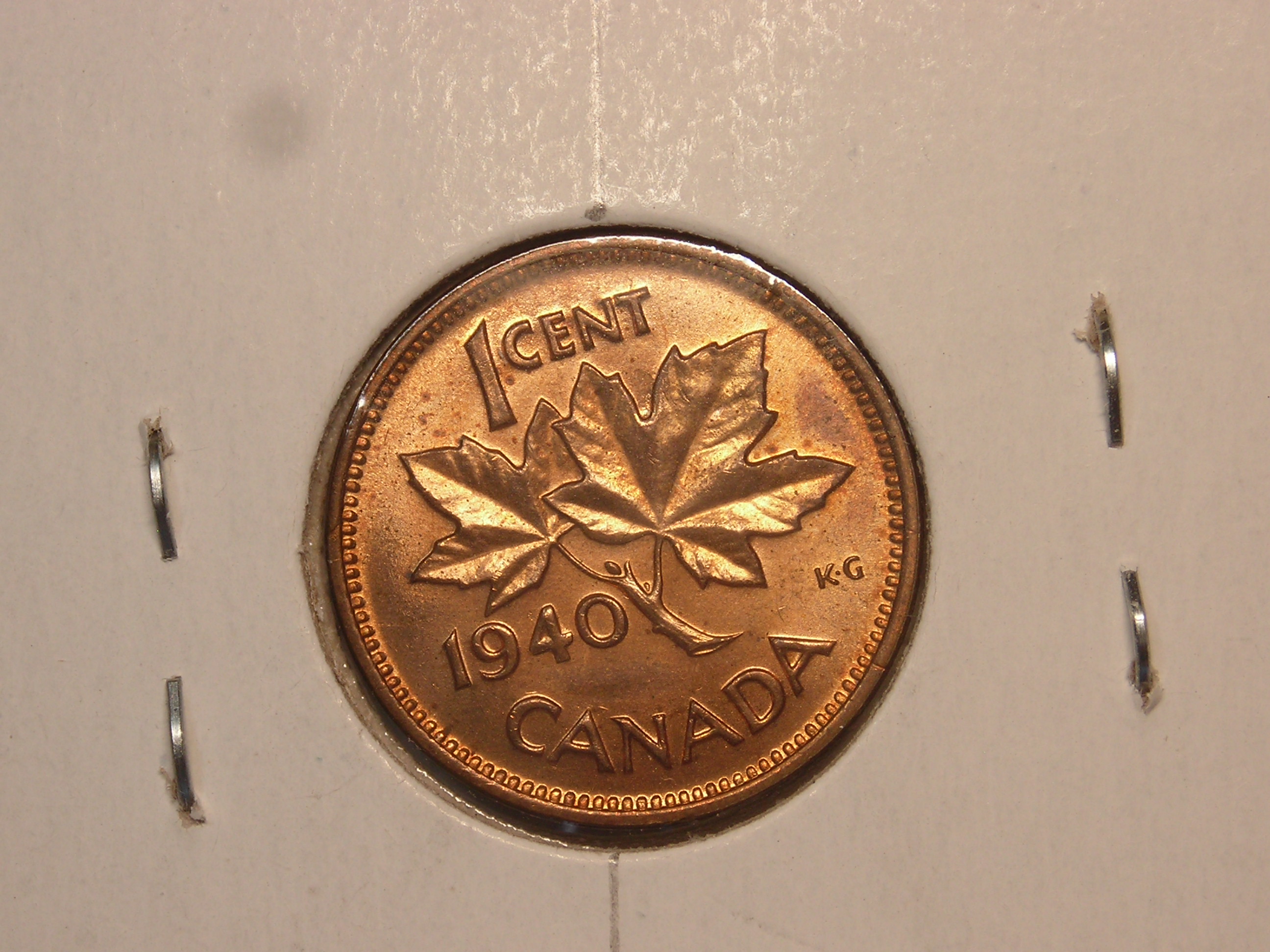 DSCN1252.JPG