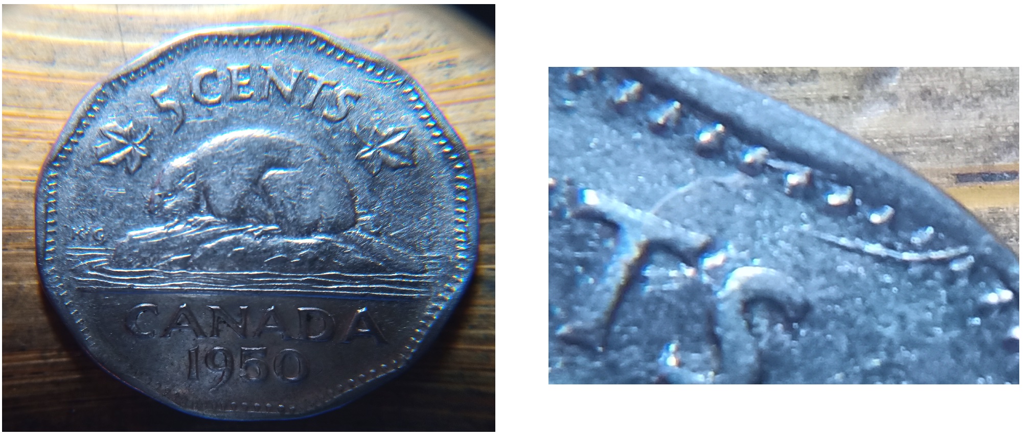 1950-2.jpg