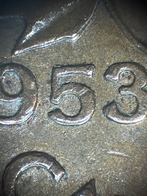 IMG_1352.jpeg