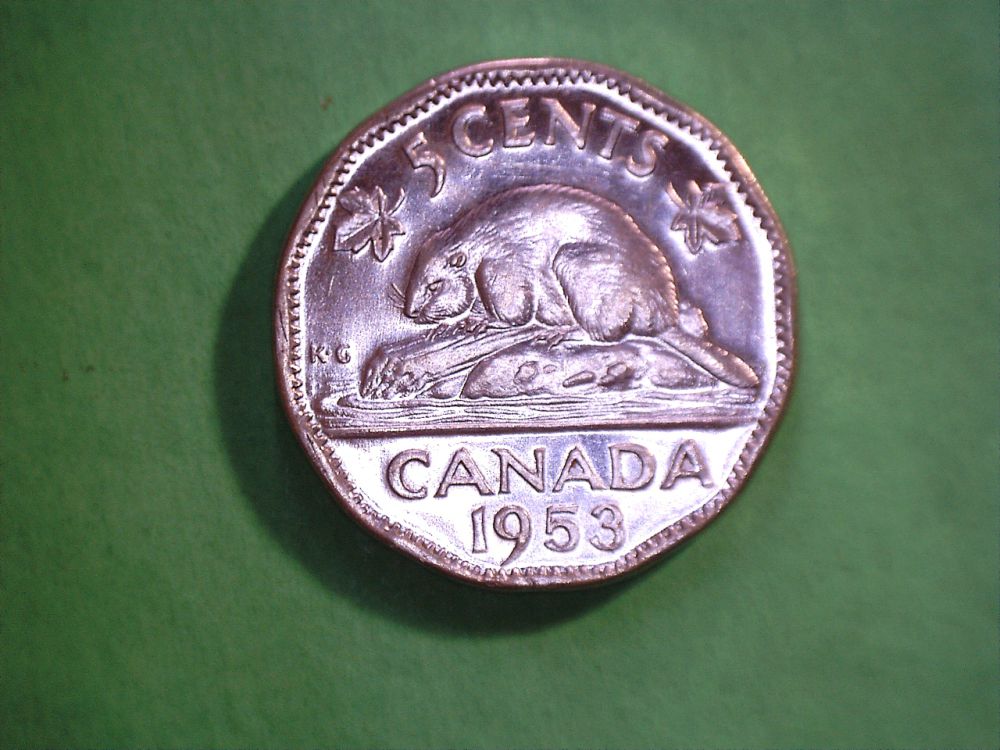 5c8.jpg