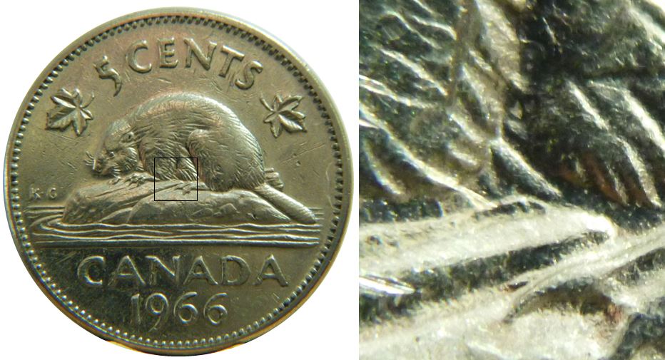 5 Cents 1966-Éclat coin sous abdomen du castor-1.JPG