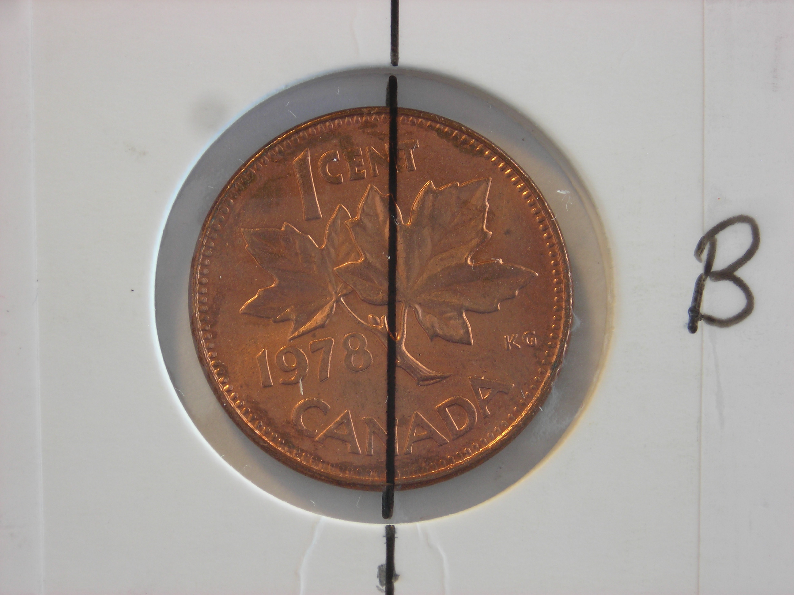 DSCN1749.JPG