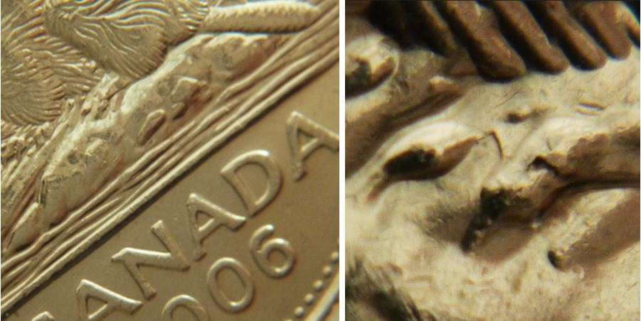 5 Cents 2006-Brindille sur patte arrière-No.3.JPG