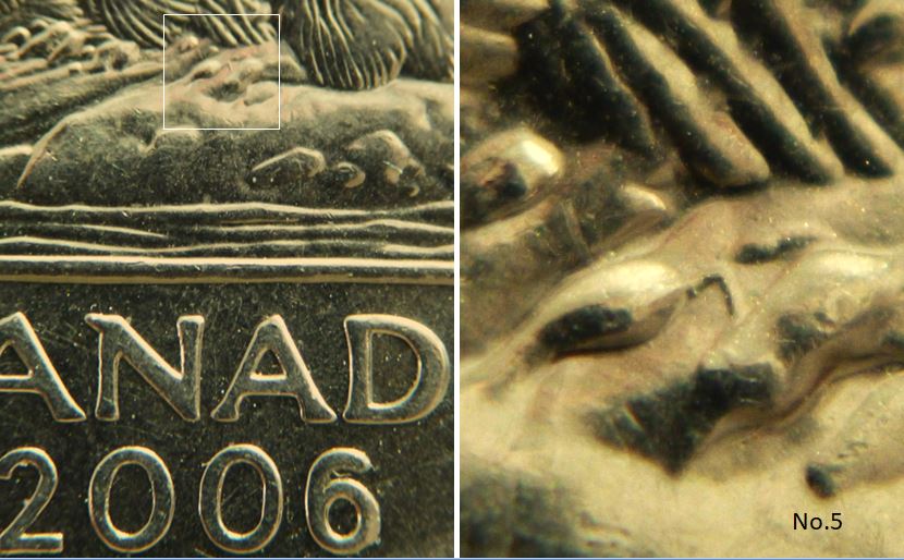 5 Cents 2006-Brindille sur patte arrière-No.5,.JPG