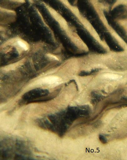 5 Cents 2006-Brindille sur patte arrière-No.5.JPG