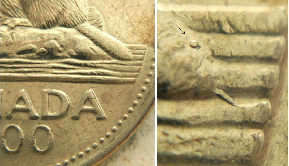 5 Cents 2000-Coin fendillé queue du castor-1.JPG