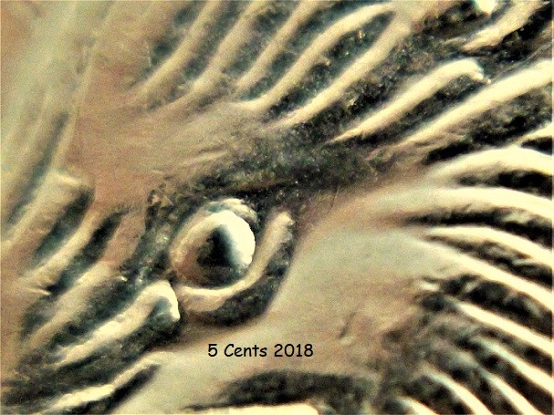 5 Cents 2018-Éclat près de la pupille-1.jpg
