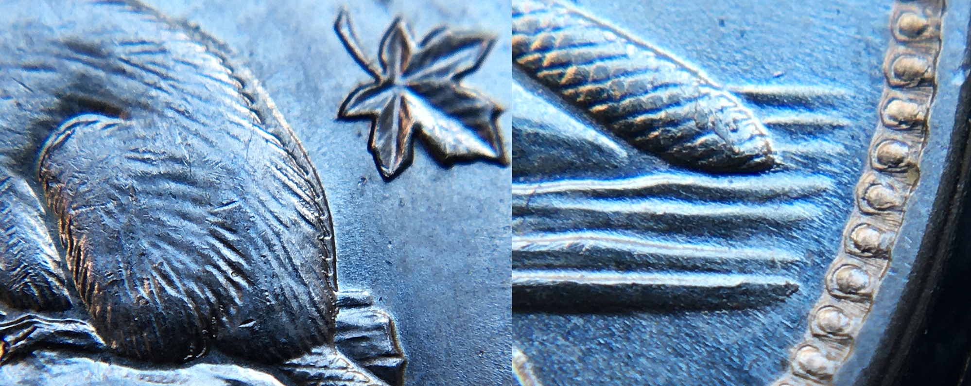 5 cents 1963 dos de castor assemblé 30.jpg