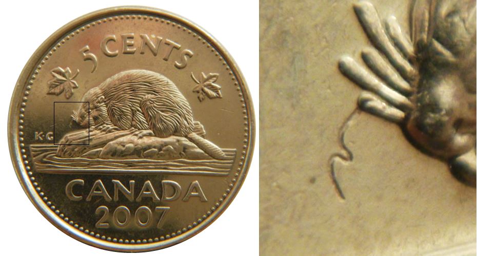 5 Cents 2007-Frappe à travers flis apprès la moustache du castor-1.JPG