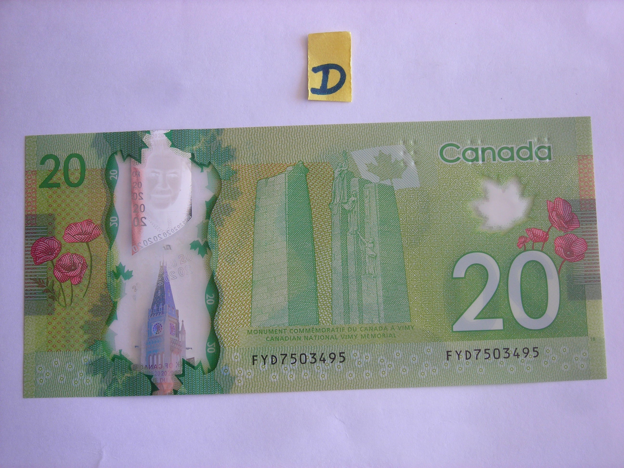 DSCN2080.JPG