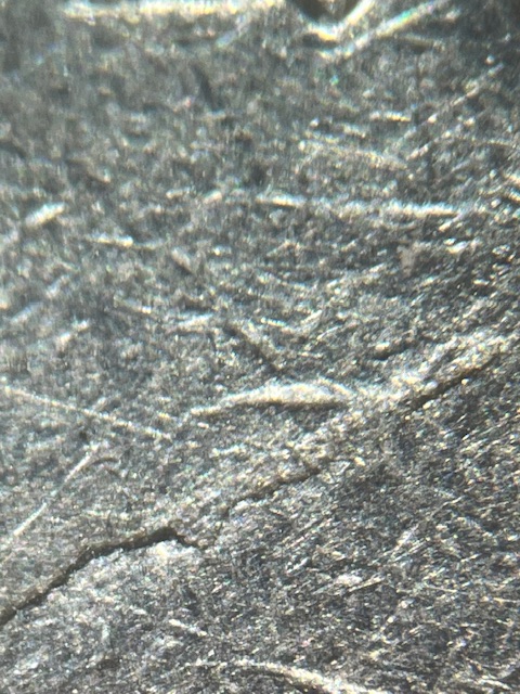 IMG_3848.jpeg