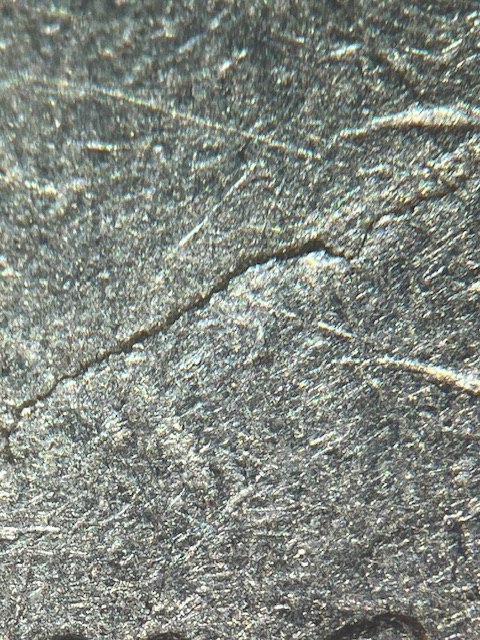 IMG_3847.jpeg