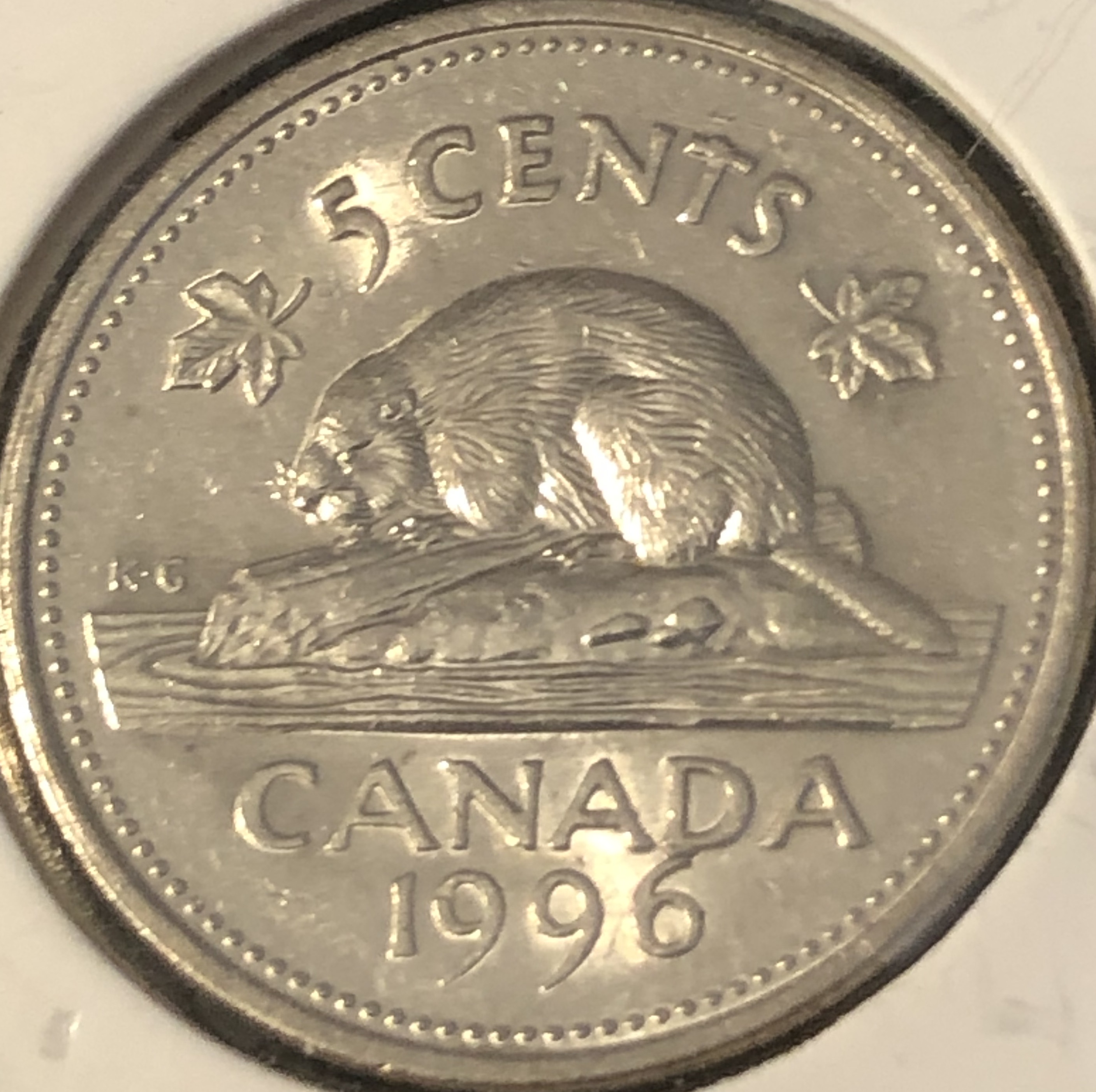 6a.jpg