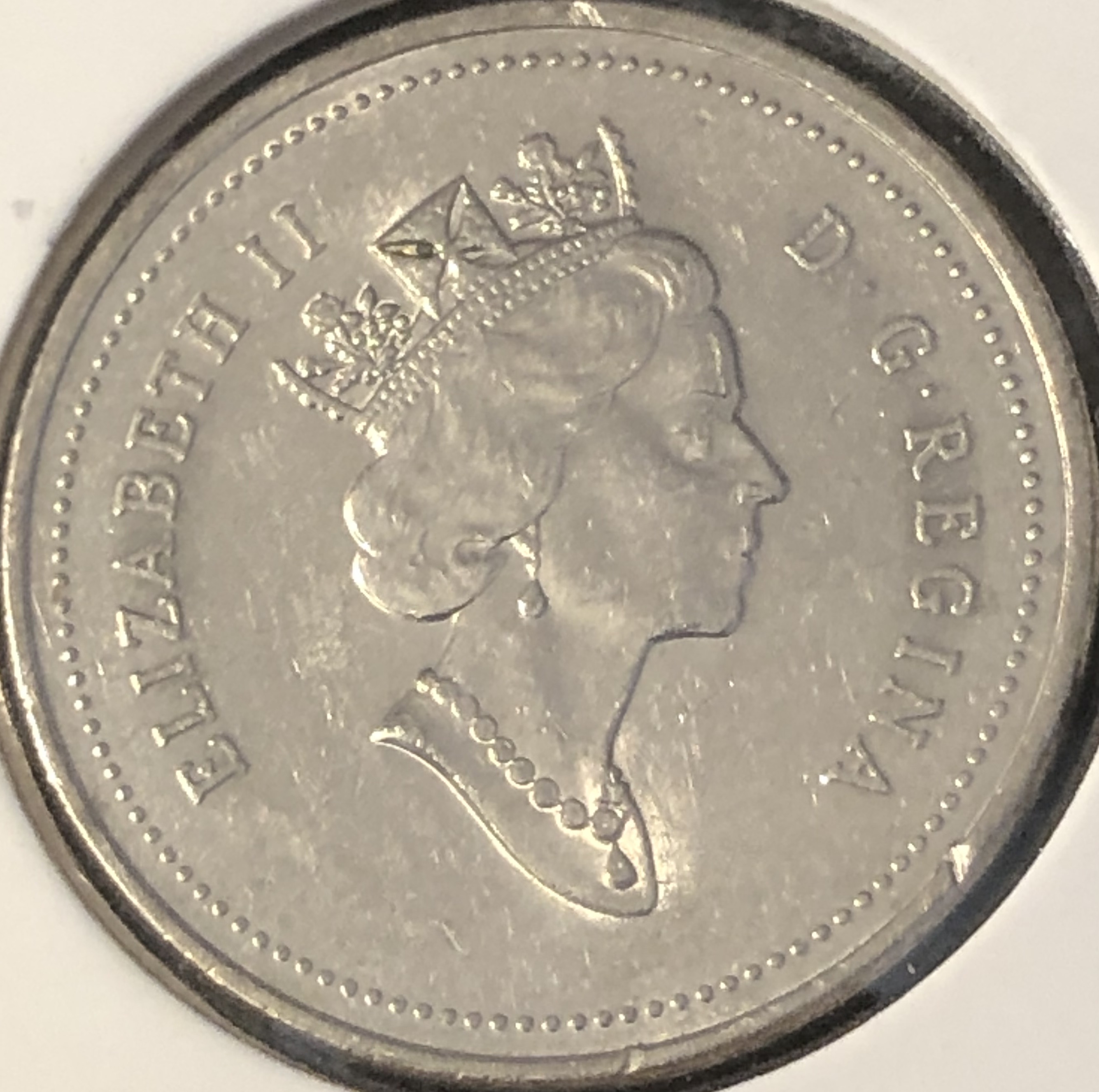 6b.jpg