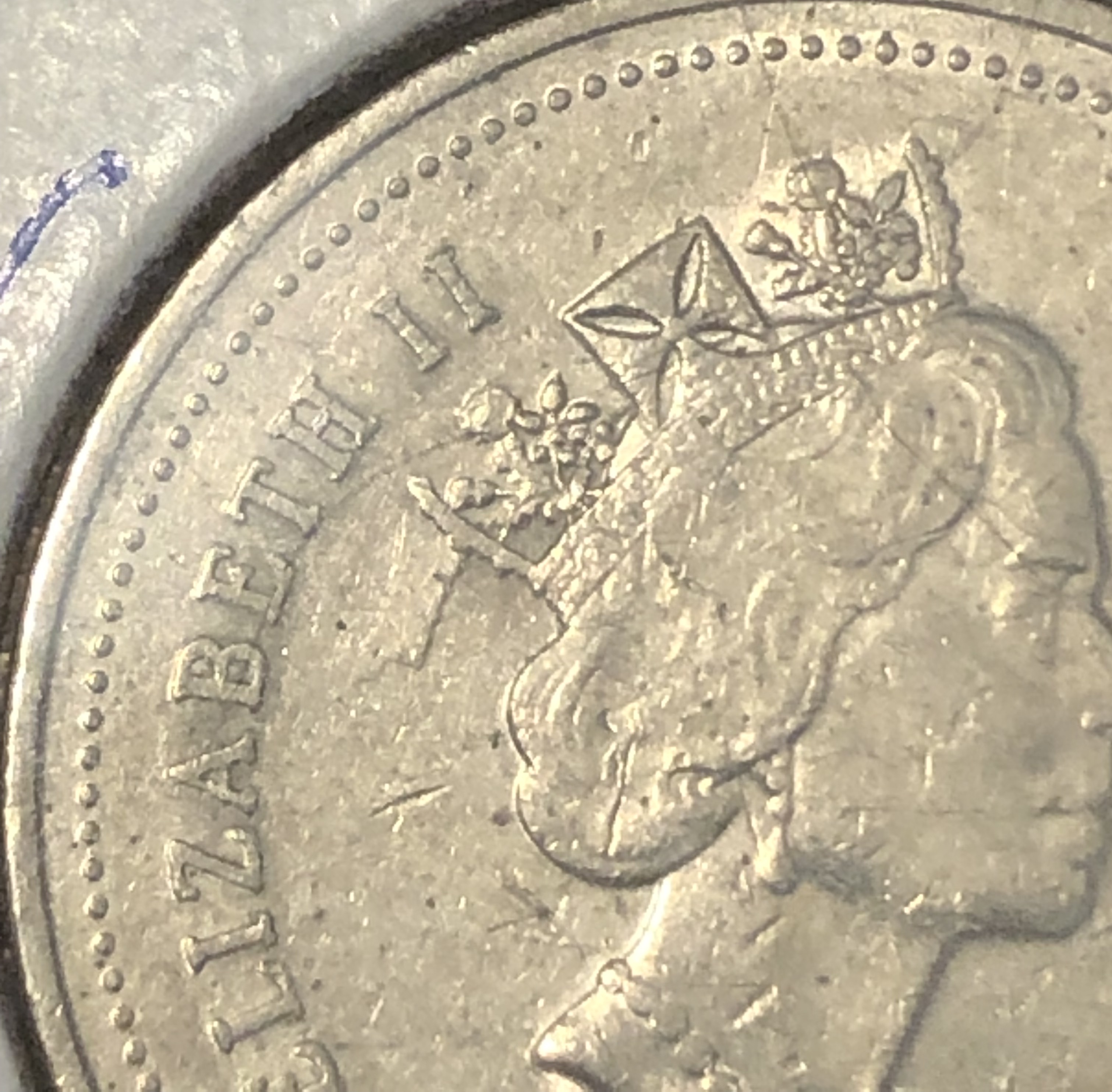 8f.jpg
