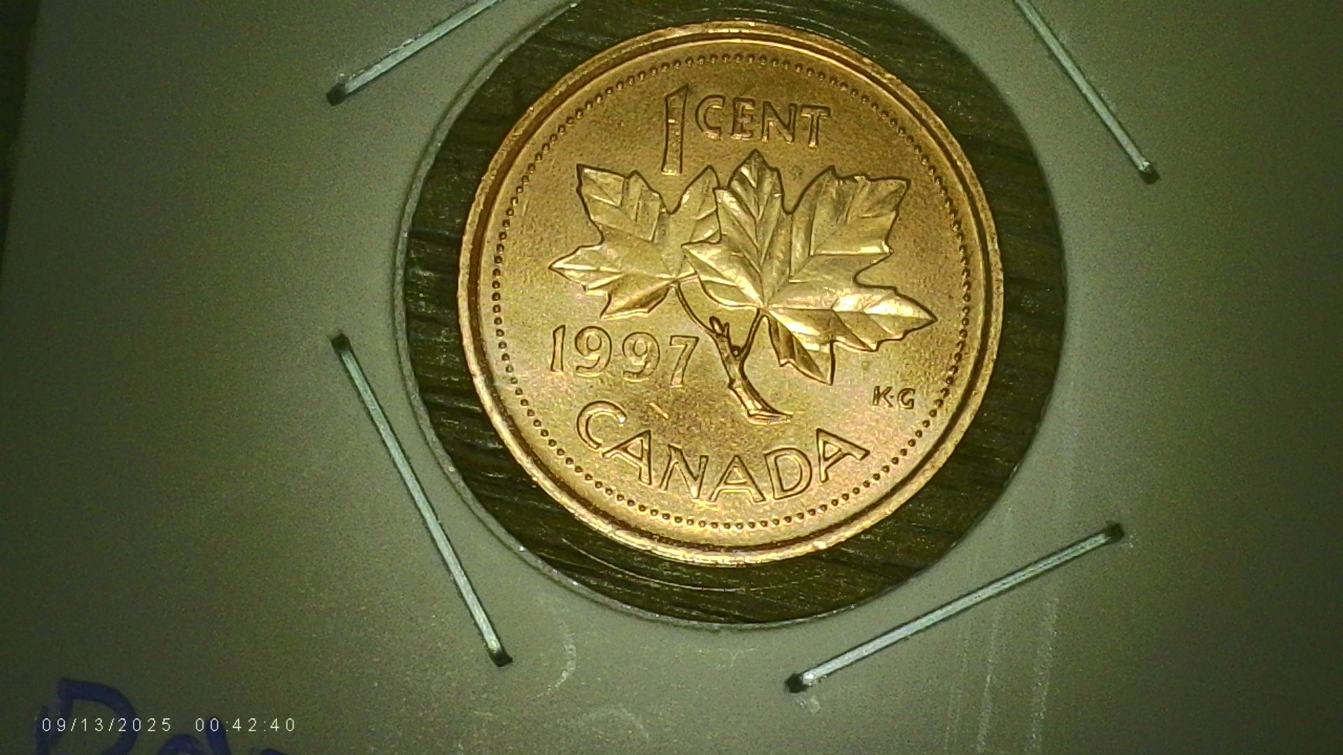 PICA0159.jpg