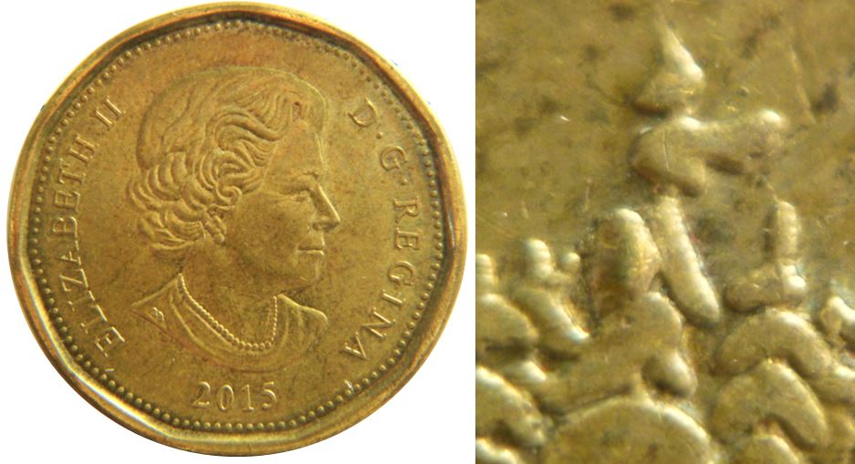 1 Dollar 2015-Éclat coin dans l'arbre-éclat dans le O de dOllar-1,.JPG