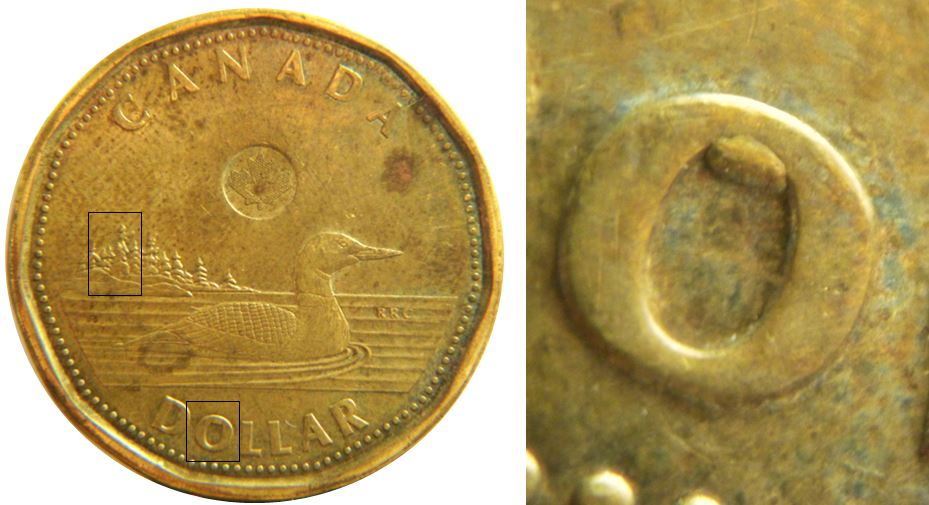 1 Dollar 2015-Éclat coin dans l'arbre-éclat dans le O de dOllar-1.JPG