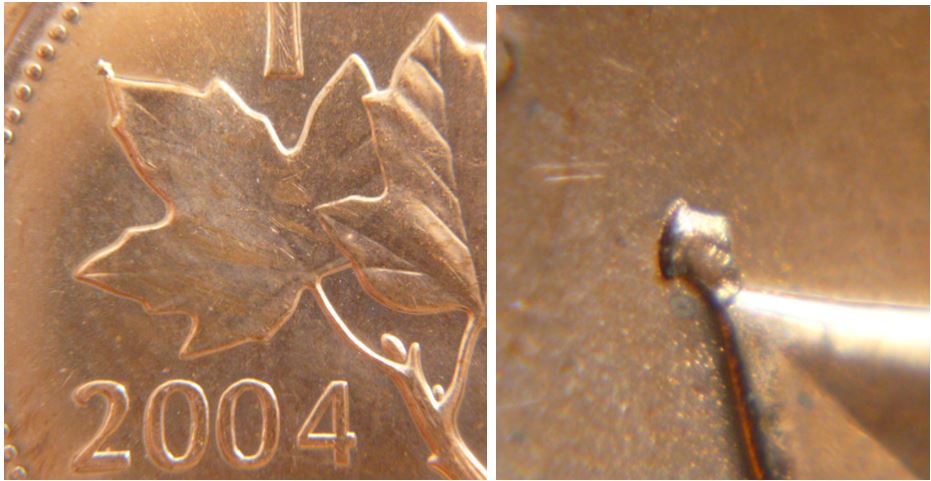 1 Cent 2004-Éclat de coin au bout feuille gauche.JPG