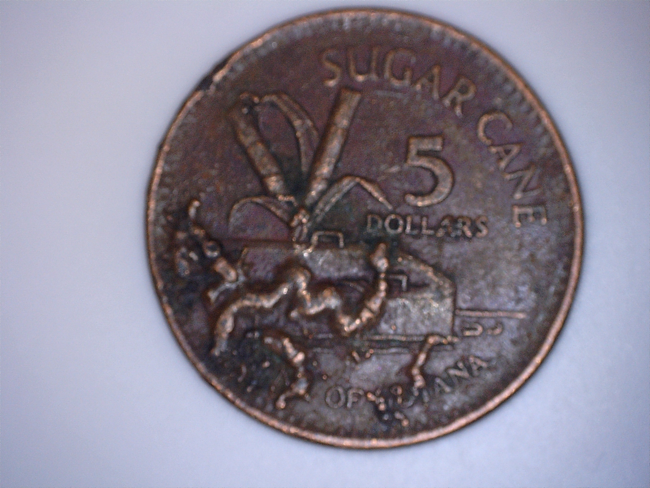 5 dollar 1996 guyana 2.jpg