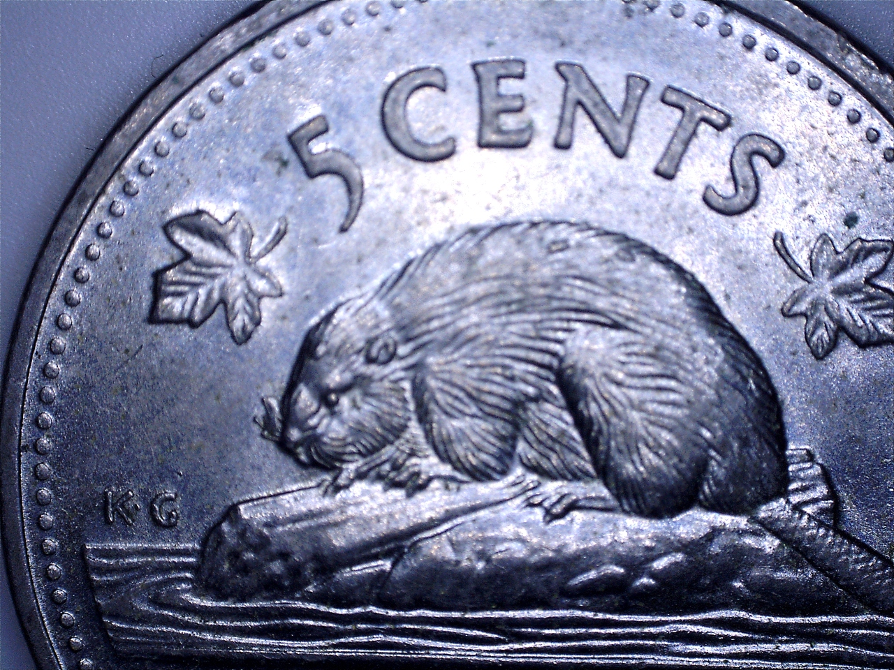 1999 moust 8.jpg