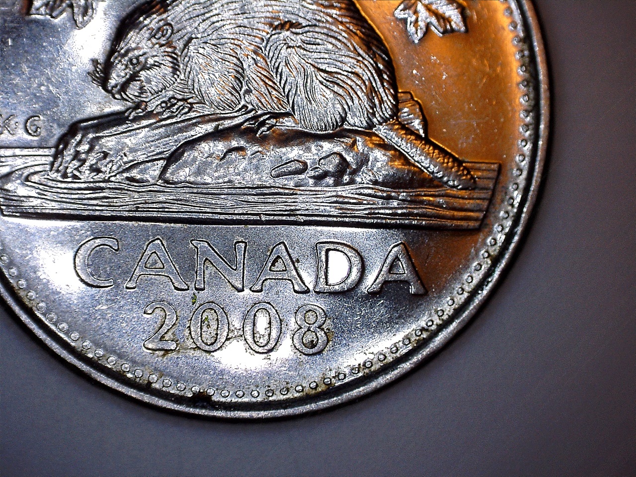 2008 6 cf.jpg