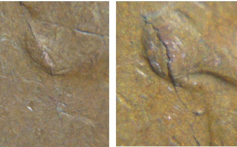 1 Cent 1949-Défaut de flan visage de effigie-3.JPG
