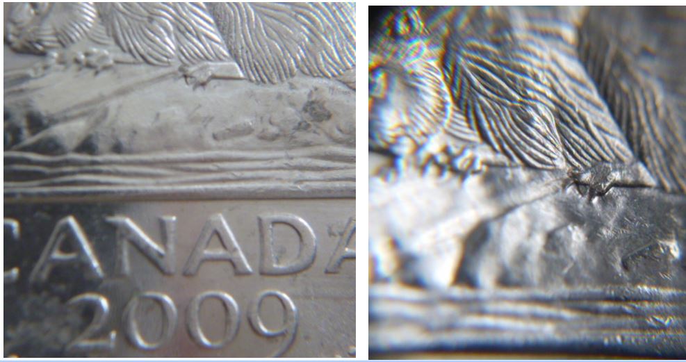 5 Cents 2009-Large griffe suplémentaire-1.JPG
