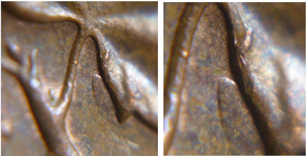 1 Cent 1964- Une pointe de flèche sous feuille droite-Coin entrechoqué-2.JPG
