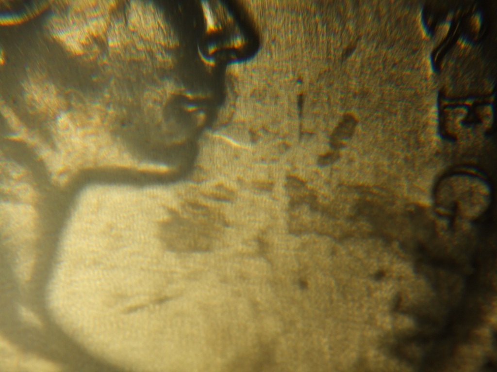 DSCF7788.JPG