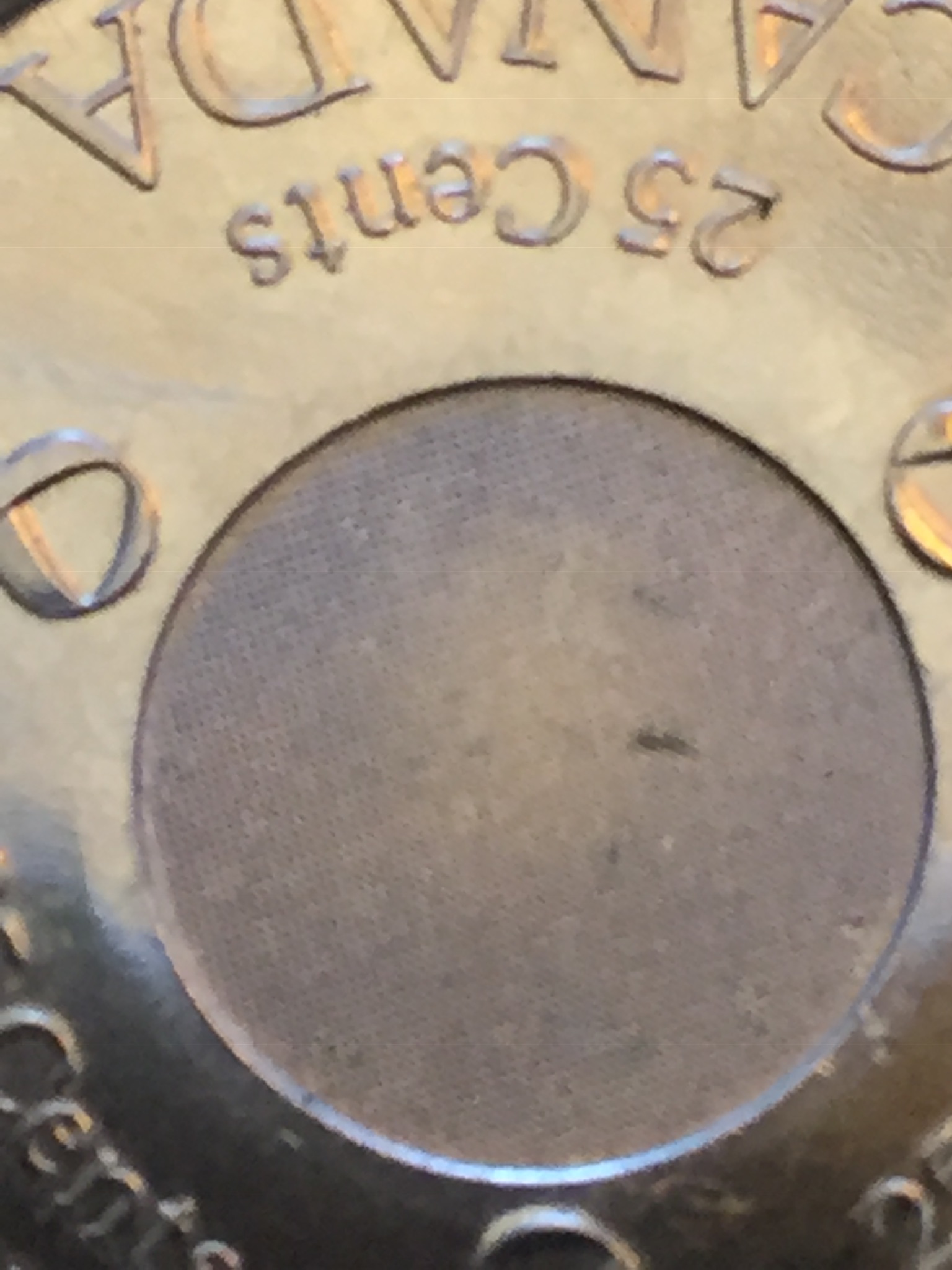 image1 (1).jpeg