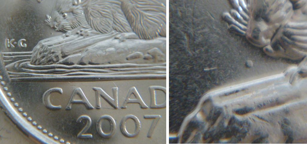 5 Cents 2007-Point au bout du museau du castor.JPG
