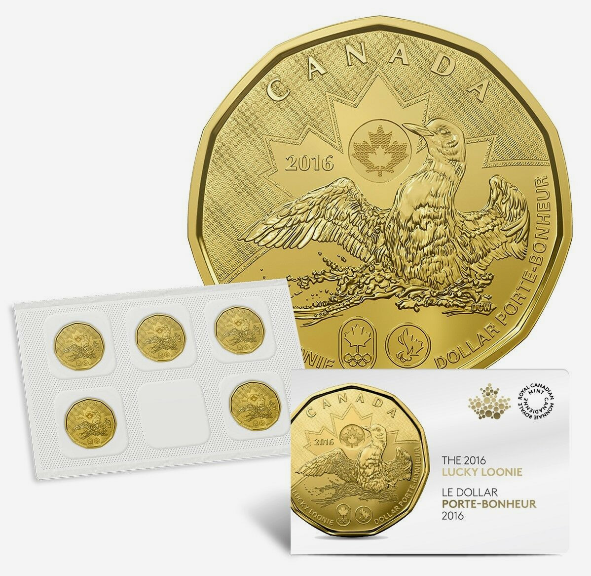 Lucky Loonie - 1 dollar 5-Pack