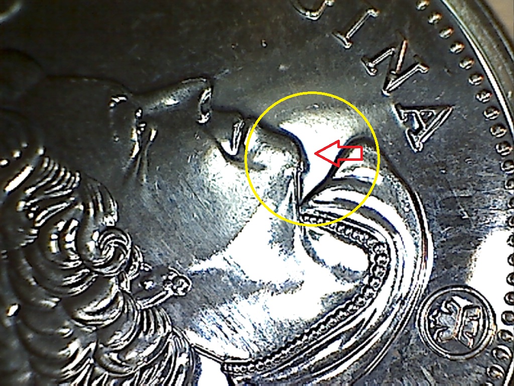 2018 Écla. nez et menton B2519018A 2 de 2.jpg