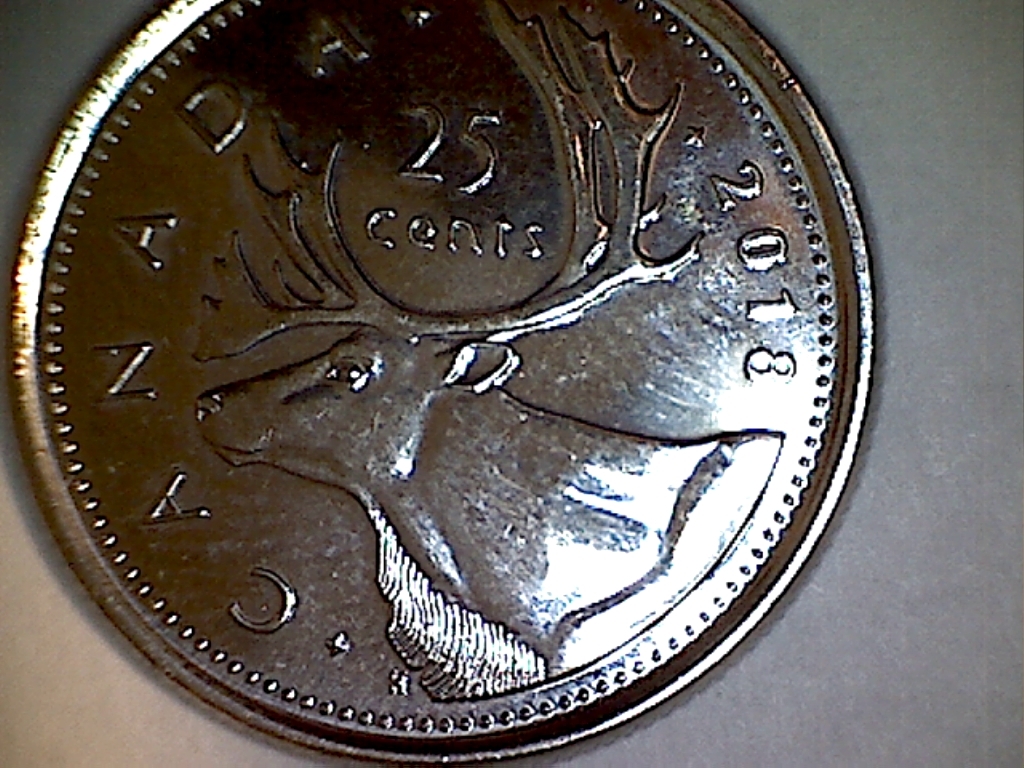 2018 Écla. nez et menton B2519018A Revers.jpg