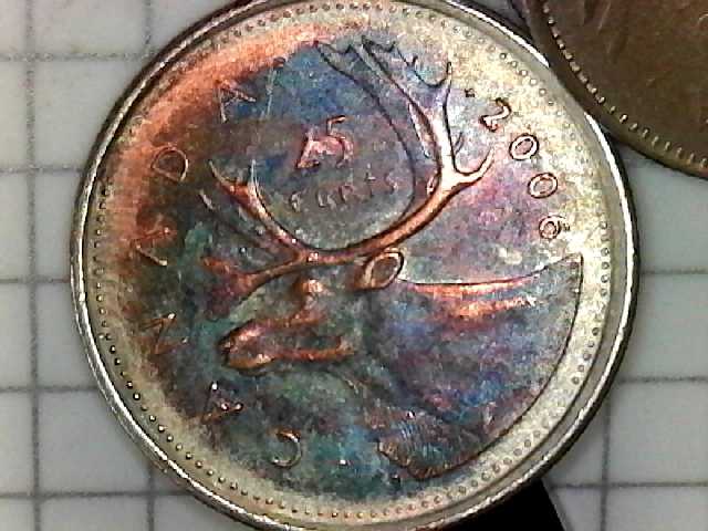 S20190116_0001.jpg