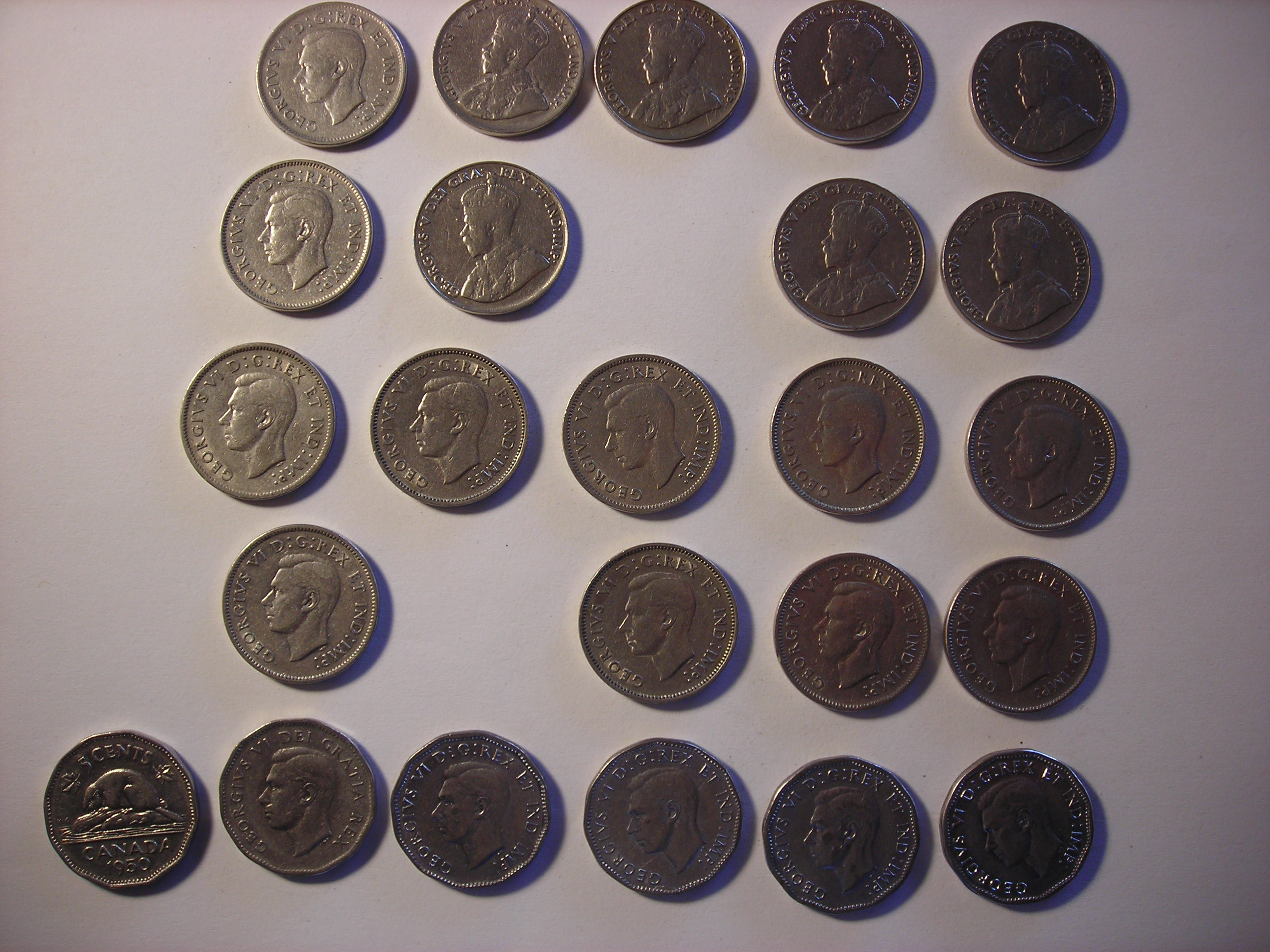 DSCN5153.JPG