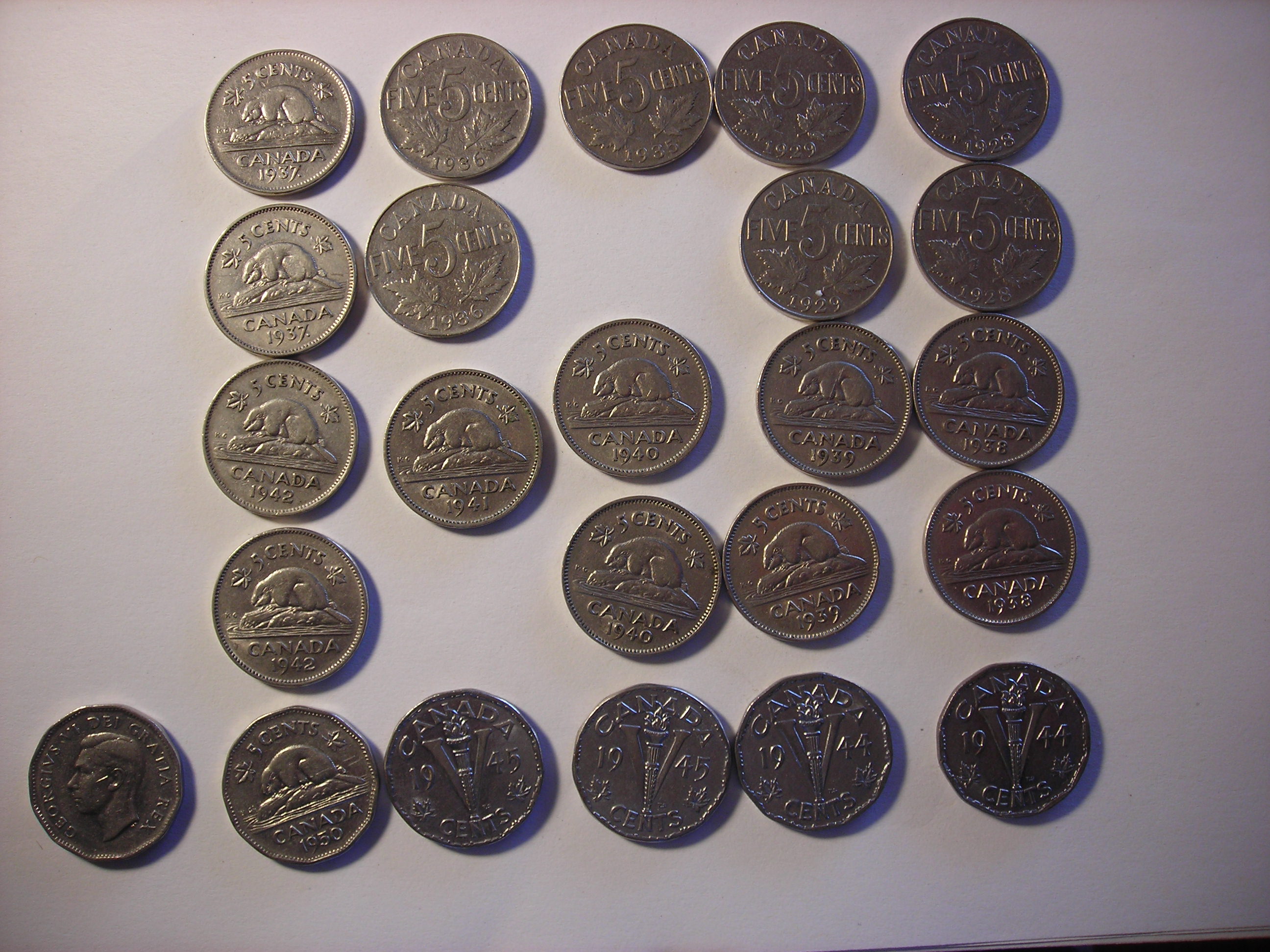 DSCN5151.JPG