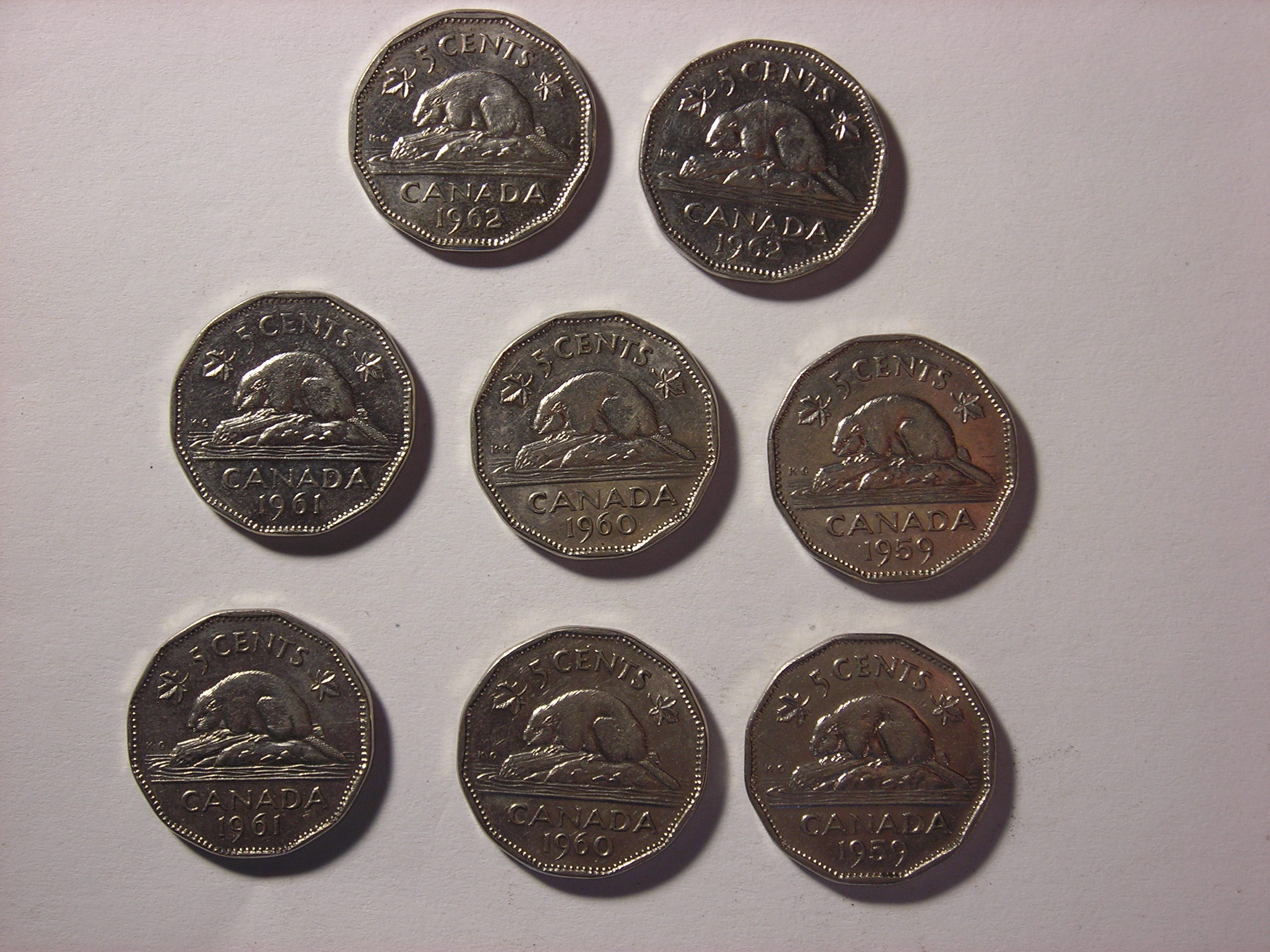 DSCN5157.JPG