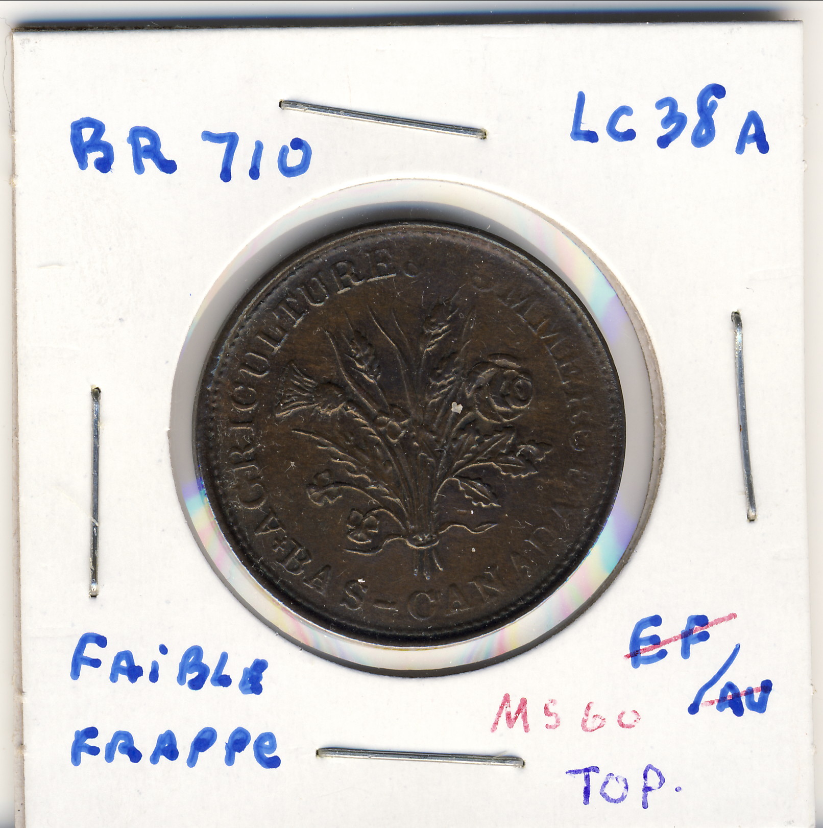 LC38A_K226 CCCS EF45 OBS.jpg