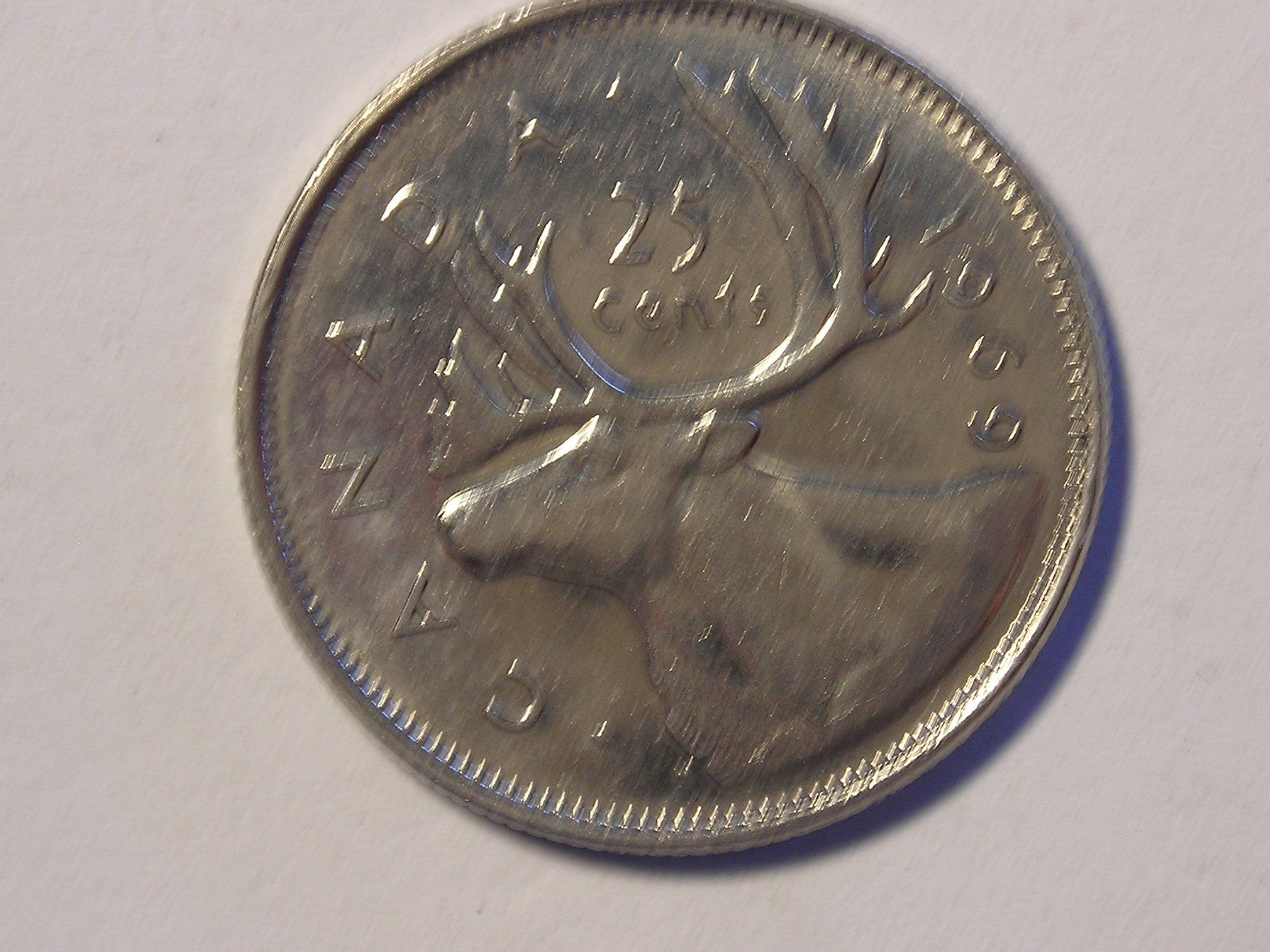 DSCN5167.JPG