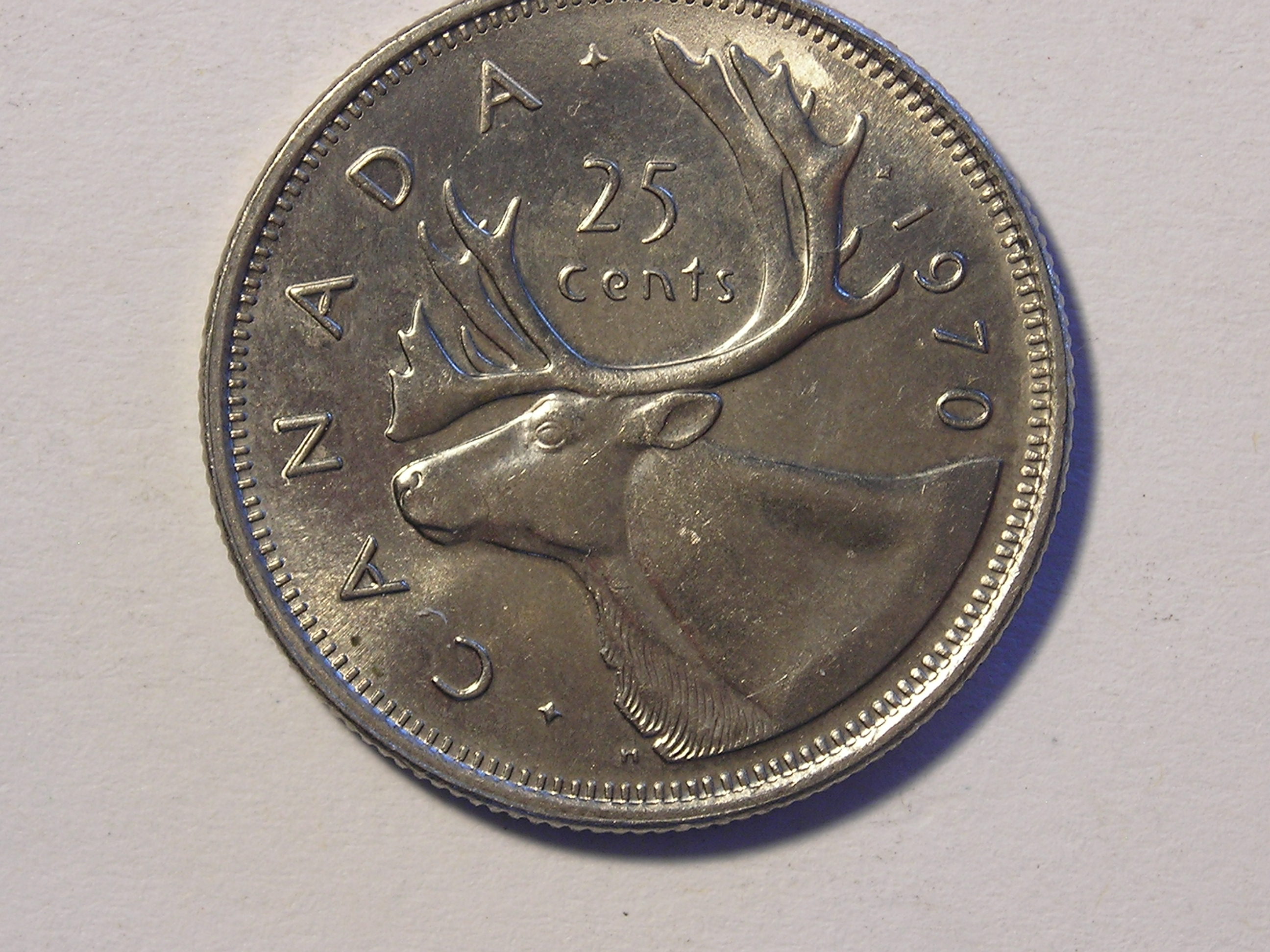 DSCN5165.JPG