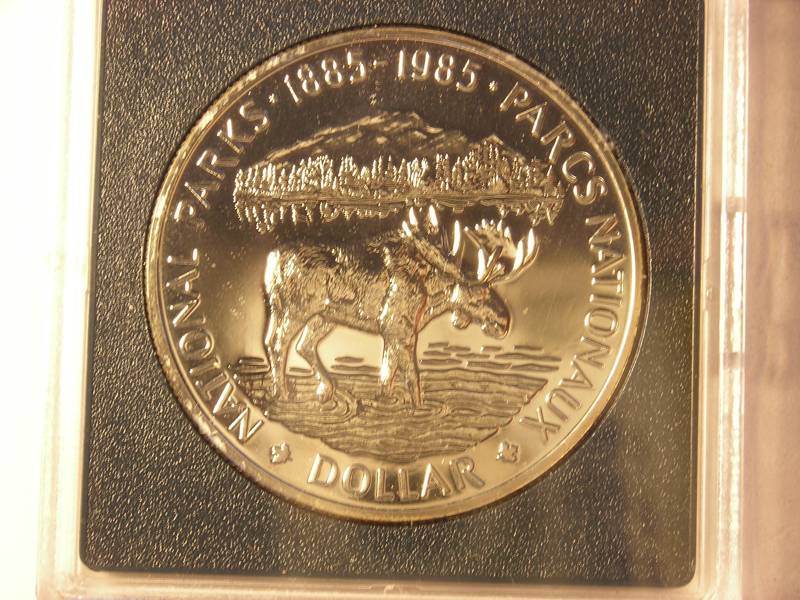 DSCN5176.JPG