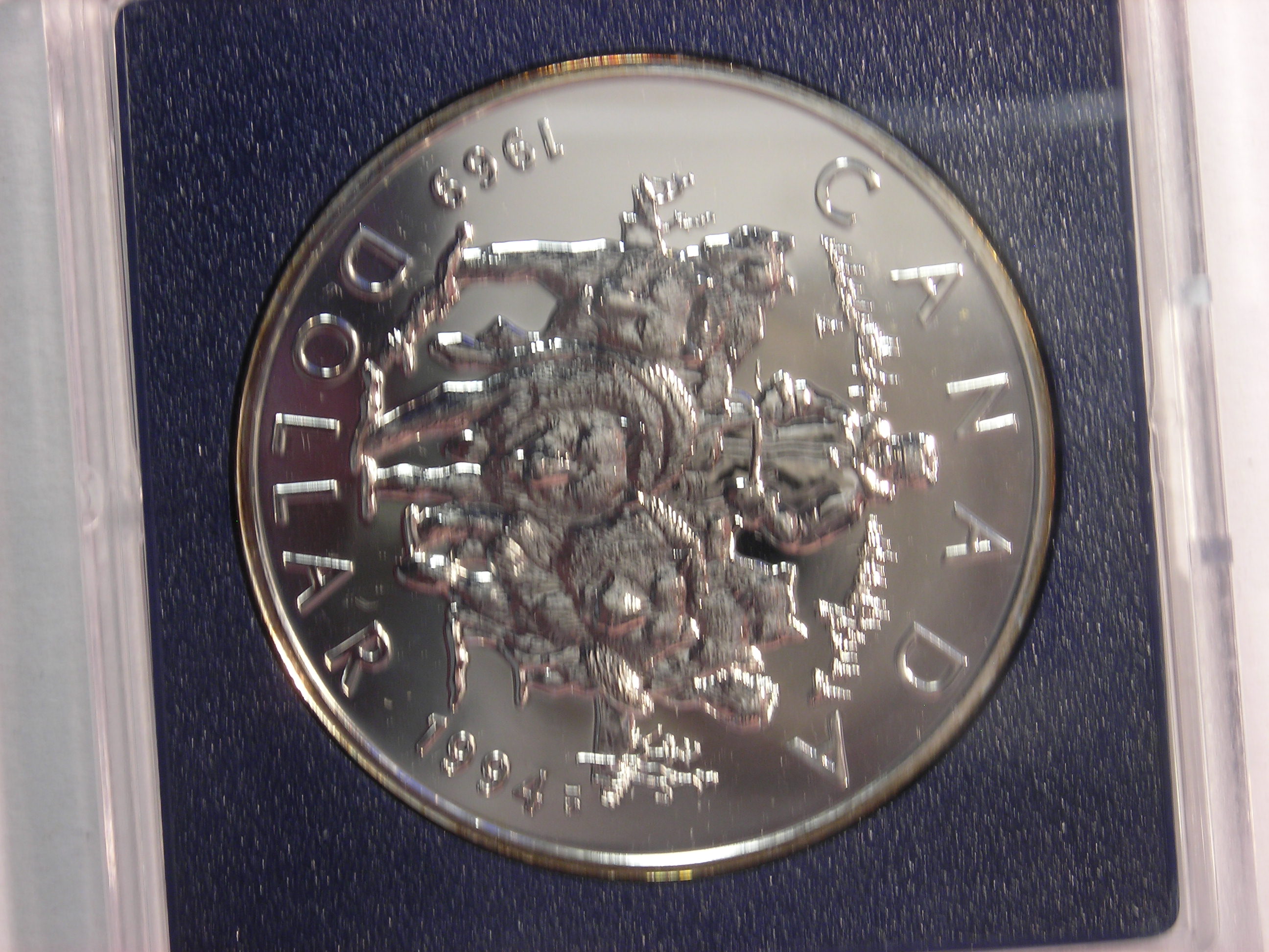 DSCN5187.JPG