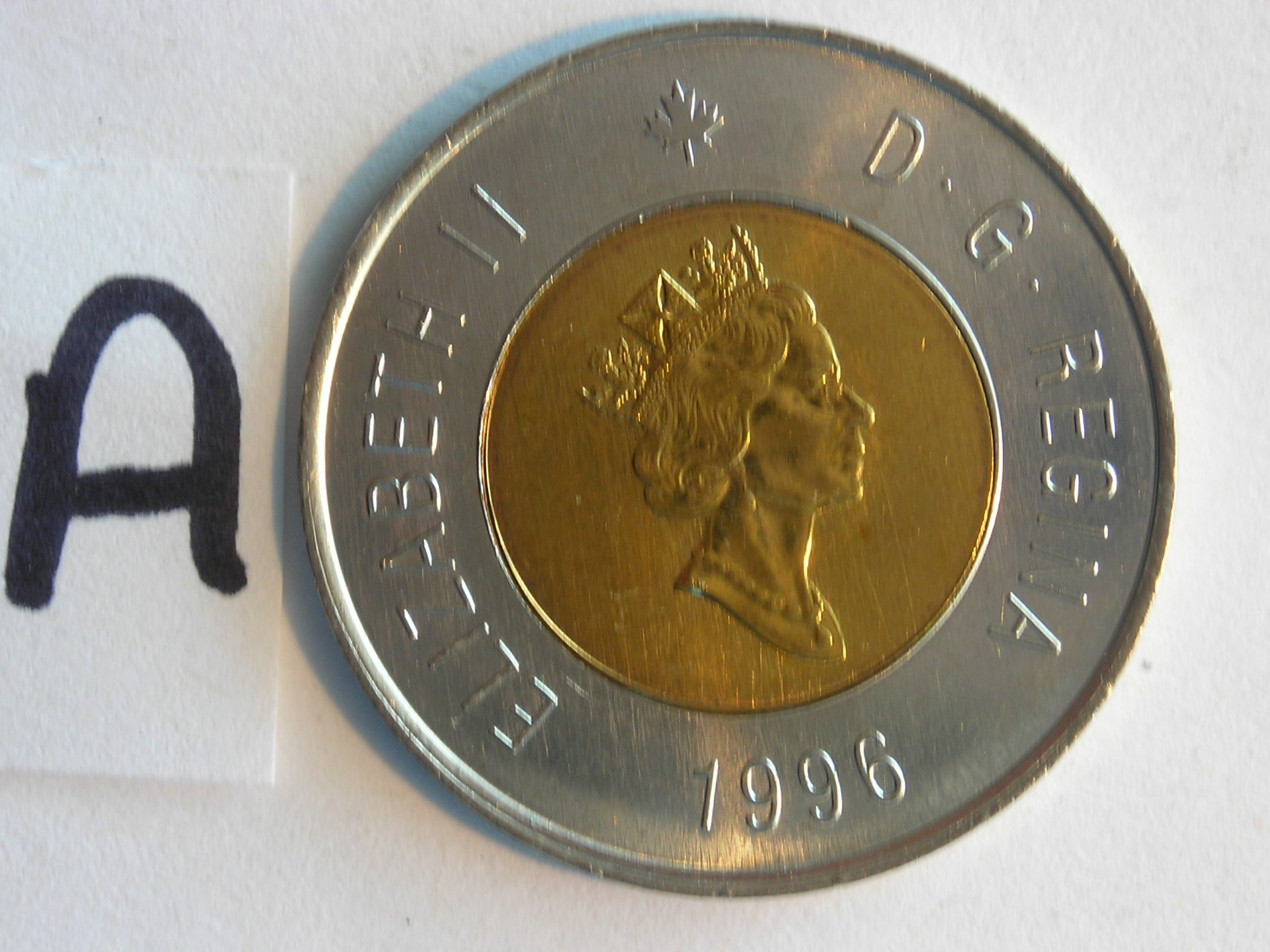 DSCN5238.JPG