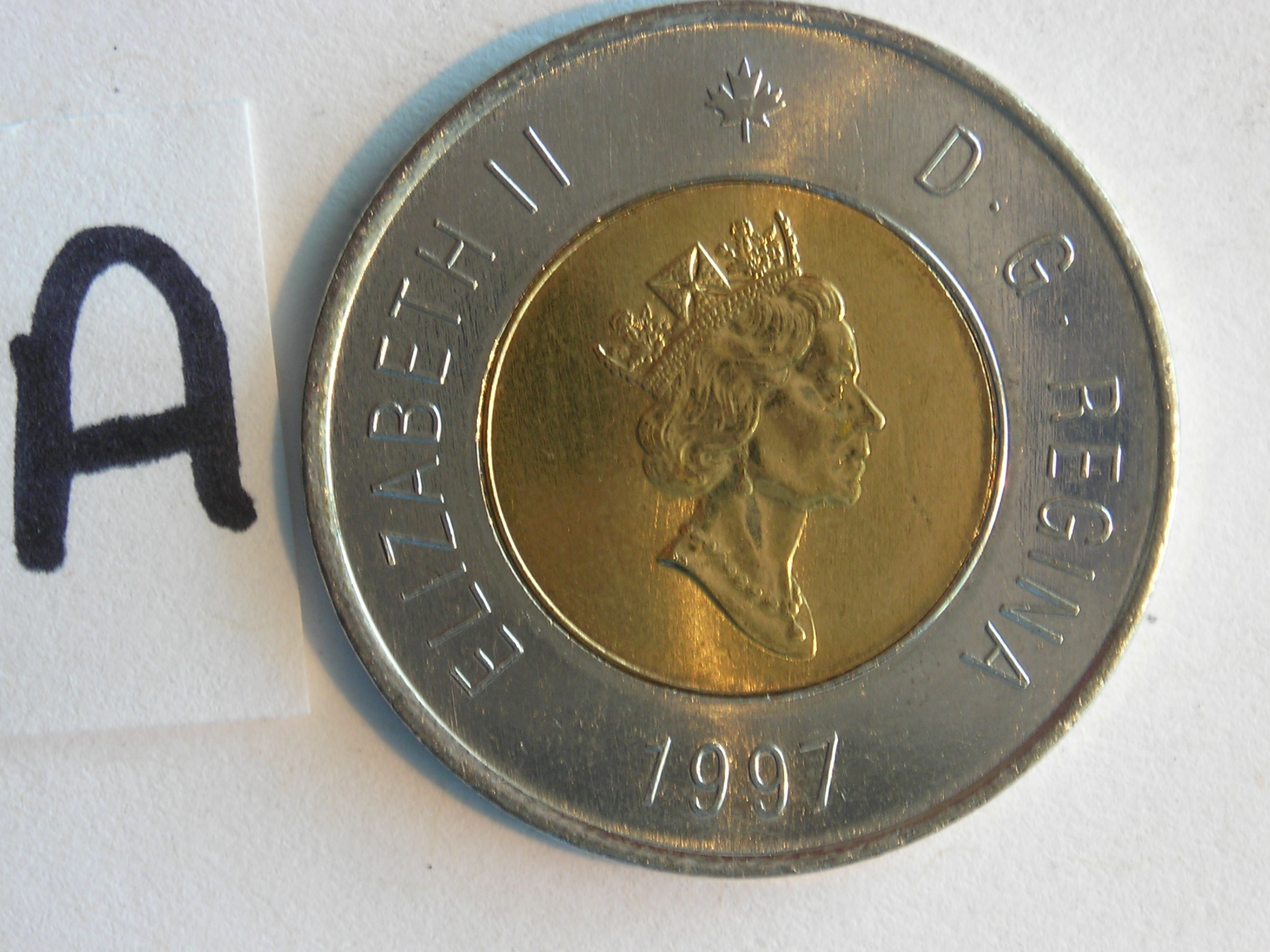 DSCN5239.JPG