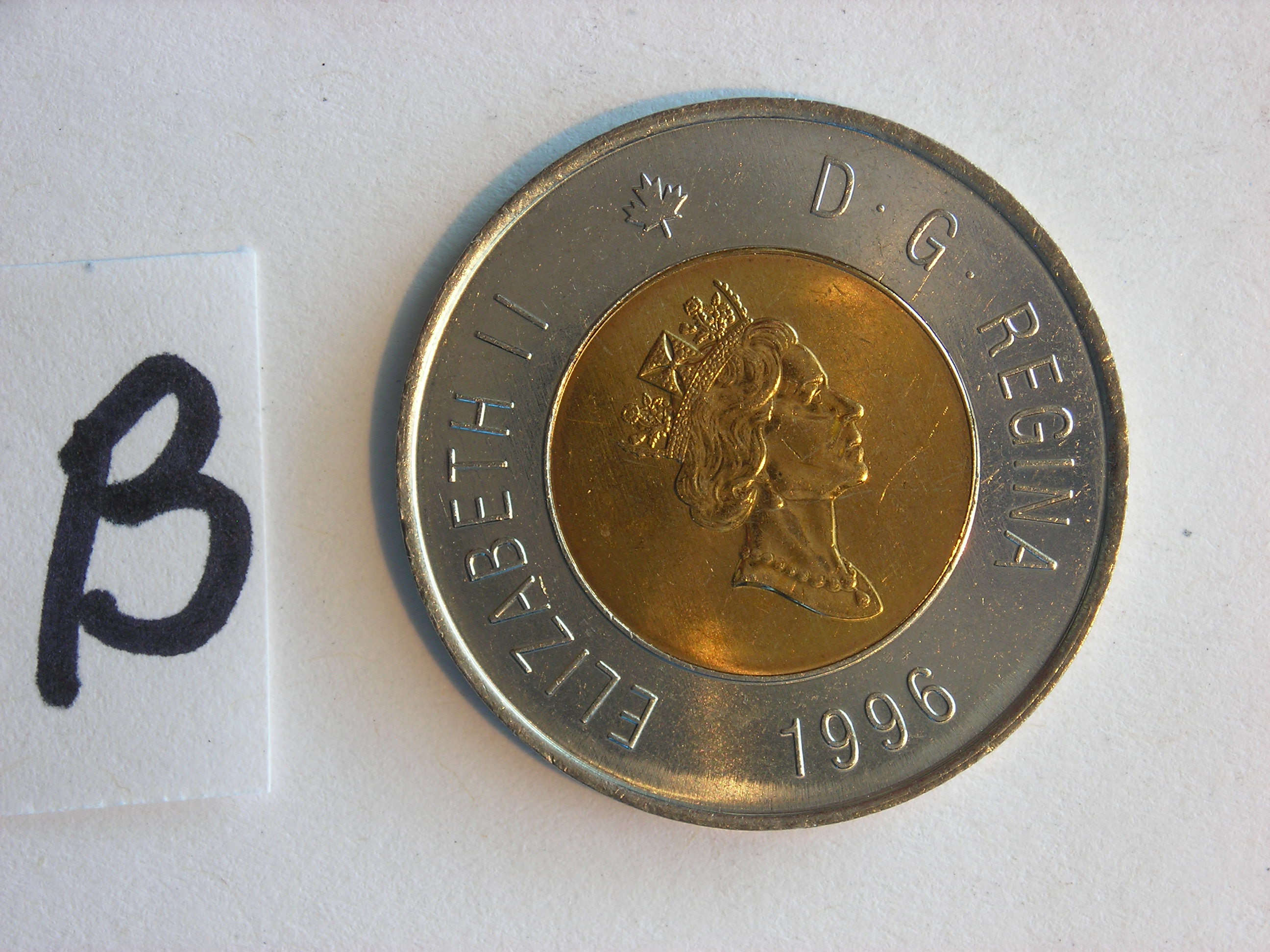 DSCN5243.JPG