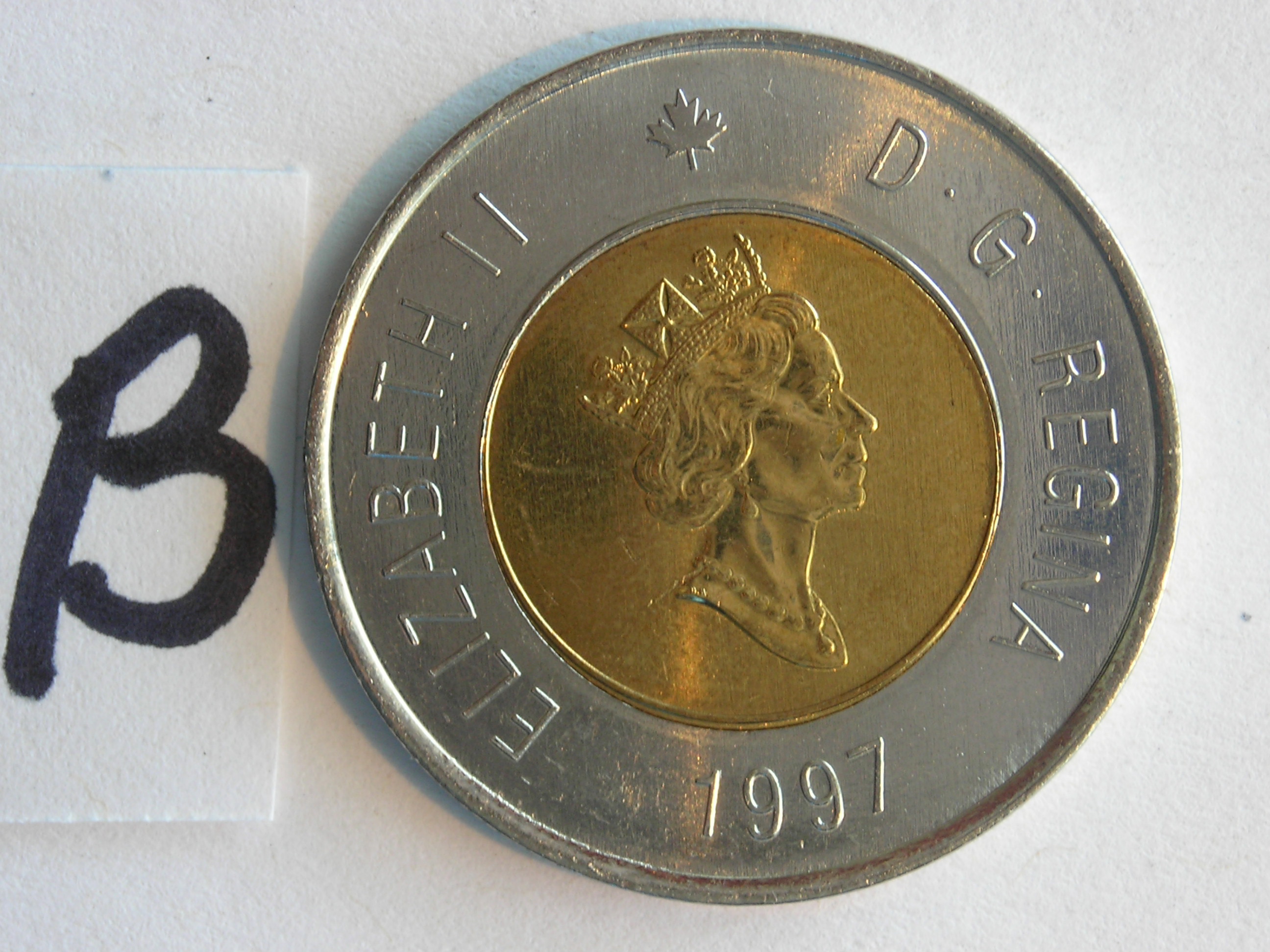 DSCN5245.JPG